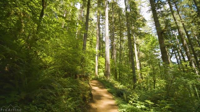 8 HOURS Forest Walk along the Trail of Ten Falls - Waterfalls of Silver Falls State Park in 4K UHD смотреть онлайн
