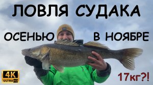 Ловля крупных судаков