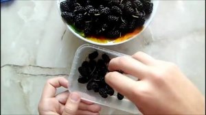 Как заморозить шелковицу на зиму