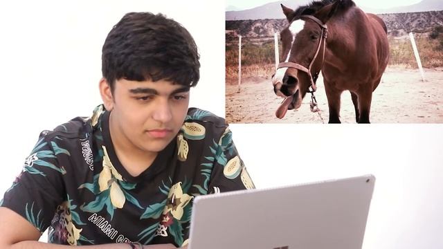 TRY TO NOT LAUGH CHALLENGE | Rimorav Vlogs смотреть онлайн