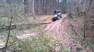 Квадроцикл СТЕЛС 500 GT! че то может)