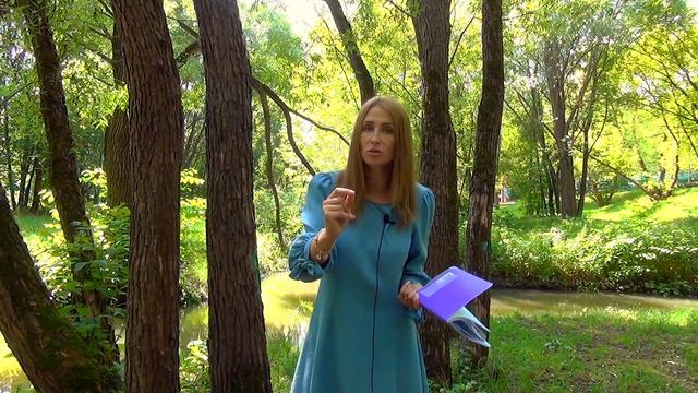 Структура итогового сочинения смотреть онлайн