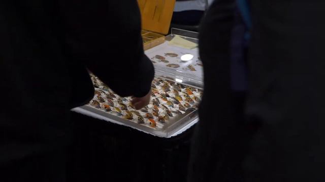 Atlantic Salmon Fly International 2018 смотреть онлайн