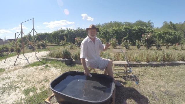 Звуки квока Алексея Гнуда. Советы Юрия Философа. Тест и подсказки. 2022 год. смотреть онлайн