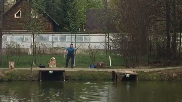 Ловля форели на удочку. РК Фишка Липки. смотреть онлайн