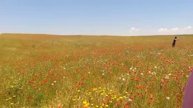 КРАСНОГОРСК - отдых смотреть онлайн