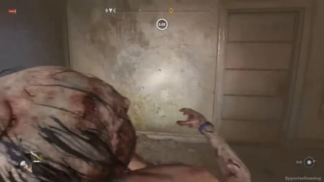 BSmod + killmoves and Dying Light 2 смотреть онлайн