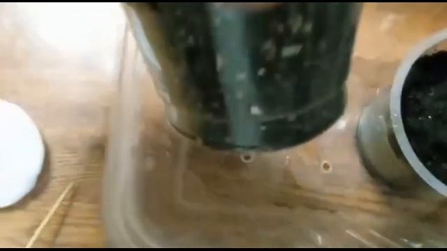 Строим Сами