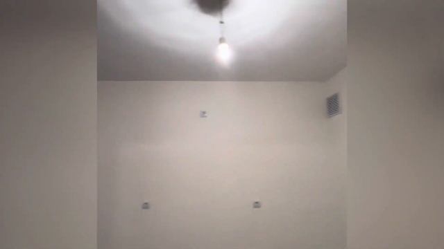 11 октября 2023 г.