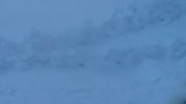 Песец Санёк пугает лиса смотреть онлайн