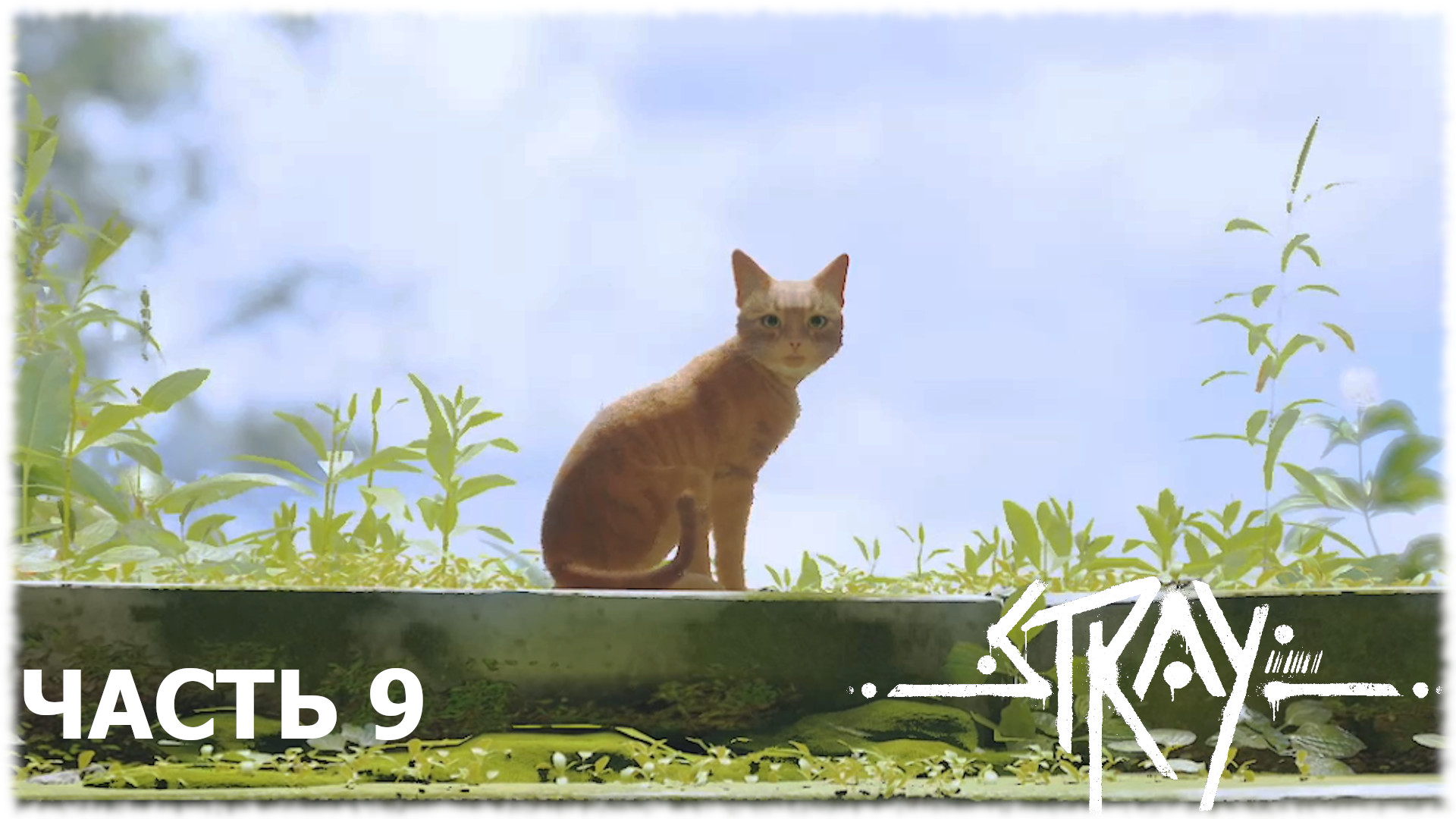 Stray- Прохождение- Часть #9 (Финал)