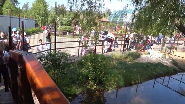 Поездка в Ижевский зоопарк из Казани смотреть онлайн