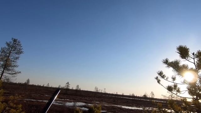 Охота на гуся весна/Гуси садятся на голову смотреть онлайн