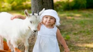 ПЕСЕНКА давай КОЗА попрыгаем