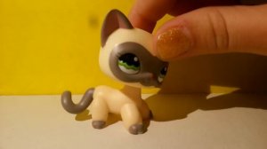 Распаковка редкие LPS, стоячки