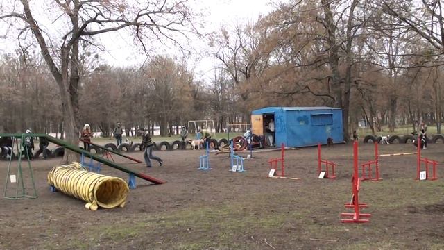 12 04 14 Аджилити Кириченко Дмитрий и Динамика