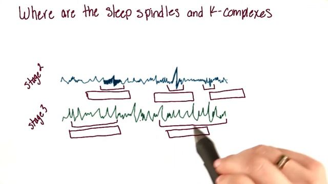 Identifying features of sleeping brain waves - Intro to Psychology смотреть онлайн