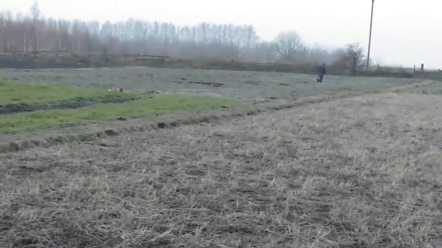 Царский пятак. смотреть онлайн