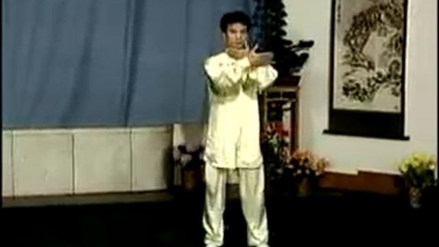 TaiChi Yang 88 Form. Yang 108