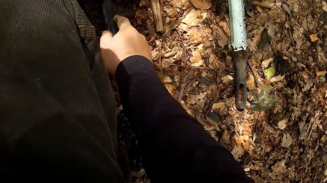 Metal Detecting - The Deer Hunter