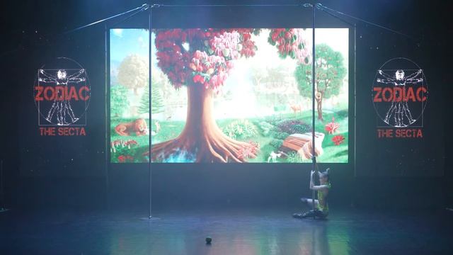 ZODIAC 2022, Анастасия Бородина, г. Воронеж, best show, Professionals 1st category смотреть онлайн