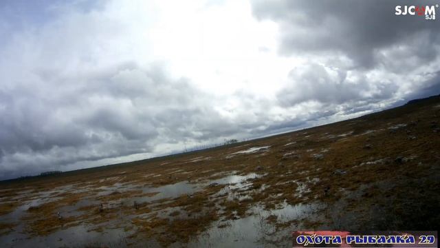 охота на гуся 2021.10 дней на болоте! смотреть онлайн