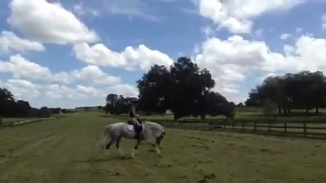 Mari & Tina смотреть онлайн