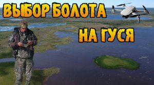 Выбор болота для охоты на гуся | В поисках гусиного места