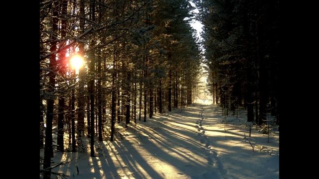 Заблудились в трёх соснах смотреть онлайн