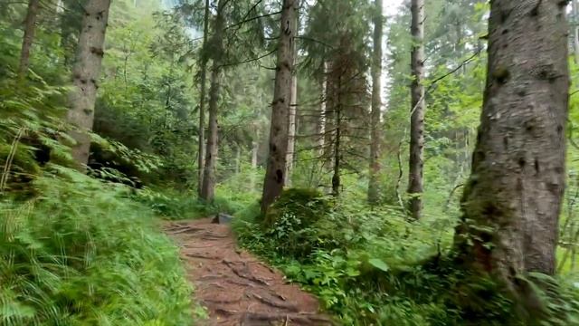 #Релакс #музыка Очень #красивая Музыка ,Сергей #Грищук, Ловим наслаждение #Relax Music