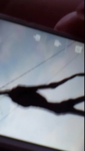 серенаголовый