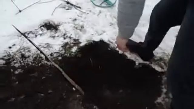 Кайман.чужой тест прибора смотреть онлайн