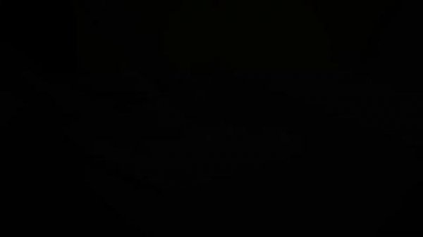 усадьба Власовых