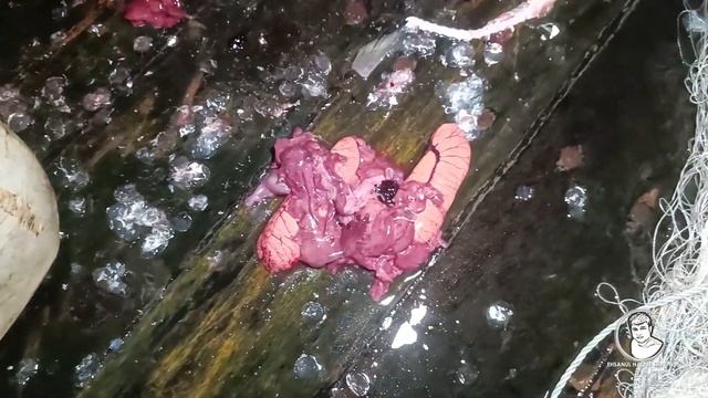 গভীর সাগরে জেলের জালে বড় বড় ইলিশ! | লোনা জলের জীবন | পর্ব-৬ | বর্ষা-২০২৩ | Sea Fishing Bangladesh