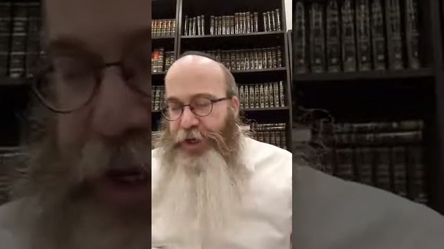 Schiur Paraschat Haschawua mit Rabbiner Havlin - Wajetse смотреть онлайн