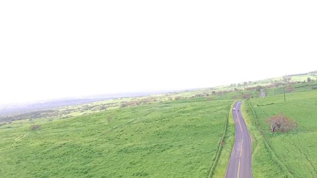 Calm and Kula in Kula DJI Phantom 3 standard смотреть онлайн