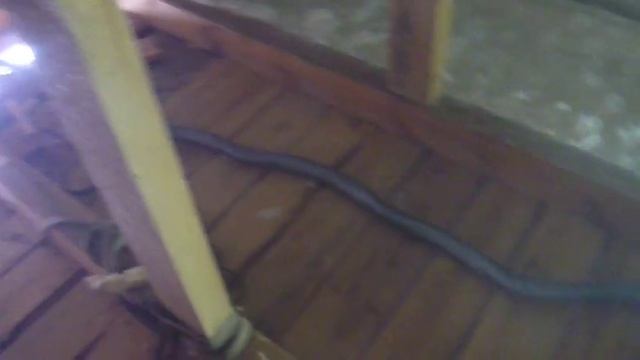 Утепление потолка зимой в частном доме (часть 4)