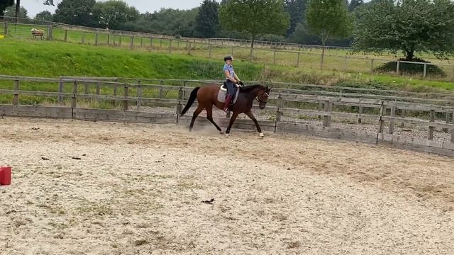 HOW TO GET YOUR HORSE SOFTER IN THE BRIDLE - (Thoroughbred Horses) OTTB Series смотреть онлайн