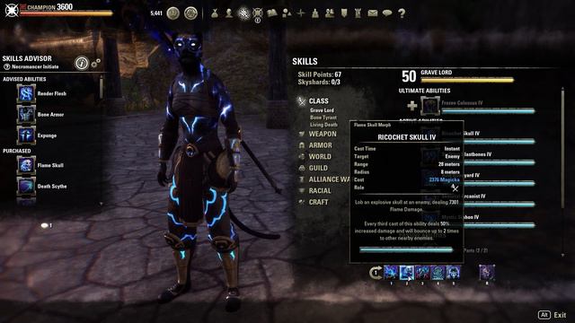 ESO - Magicka Necromancer RP PVE Build - Bent Dro-m'Athra смотреть онлайн