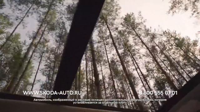 Skoda KODIAQ в Ижевске в наличии от 1 389 000 руб. (1) смотреть онлайн