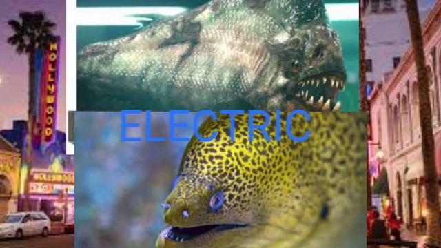 eel vs piranha wild ferret vs green mamba смотреть онлайн