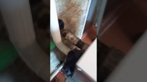 замена аогв Ростов 11.6 на конорд 11.6, без переделки отопления,с установкой насоса