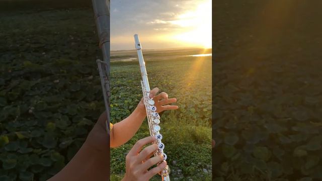 长笛——《圣诞快乐劳伦斯先生》 смотреть онлайн