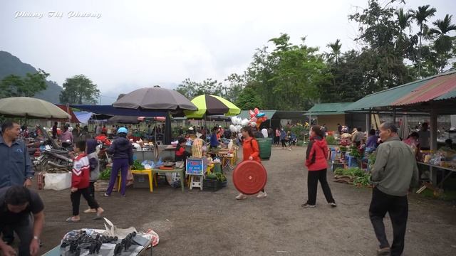Harvest Mushrooms Go To Market Sell - Free Bushcraft | Phùng Thị Phương смотреть онлайн