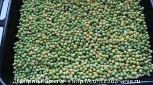 Заготовка семян гороха - горох на семена со своего сада