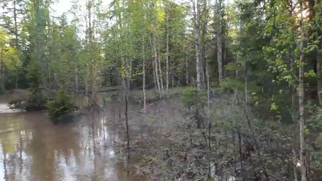 ВЕЗДЕХОД КПД-1 ОТЗЫВ ВЛАДЕЛЬЦА