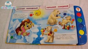 Азбукварик. Логика. Видео-обзор