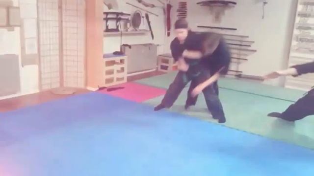 Goshinkan Taijutsu - Training Moments 01 /2016