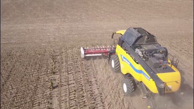 Комбайн New Holland CX8.80 C жаткой Maizco на Дне поля 15.09.2017 (Николаев)