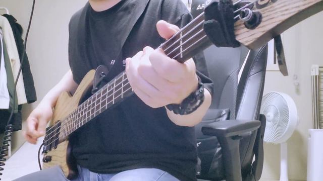 Madball-HeavenHell (Bass Cover) смотреть онлайн